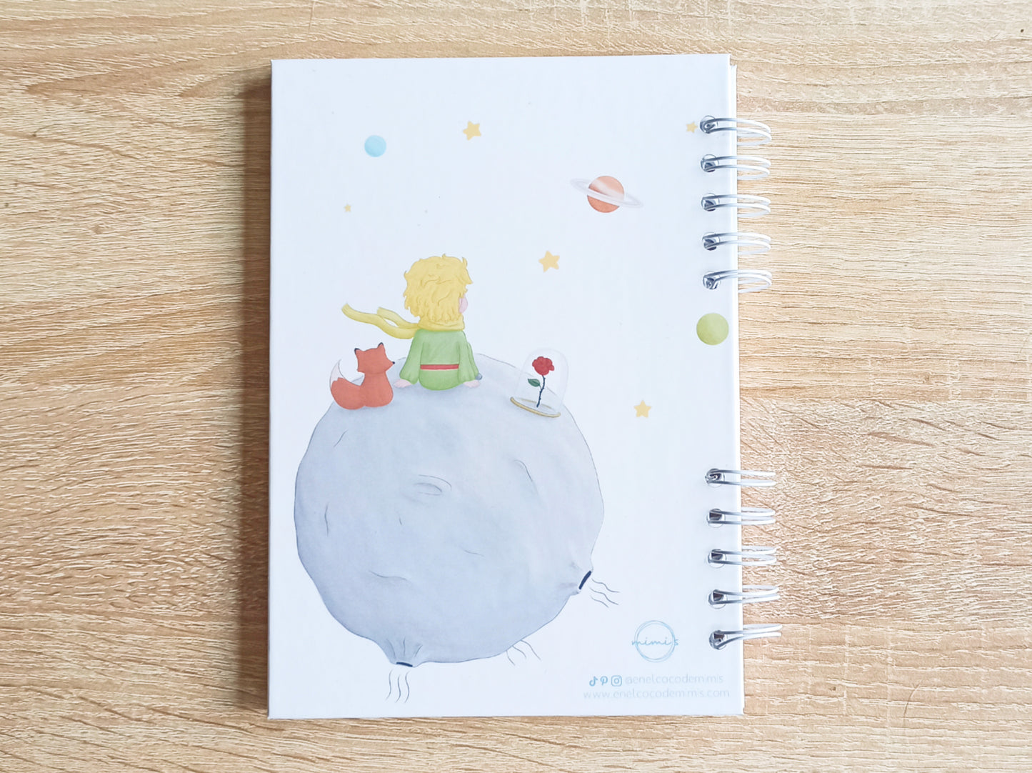 Diario de lecturas El Principito / El Petit Princep