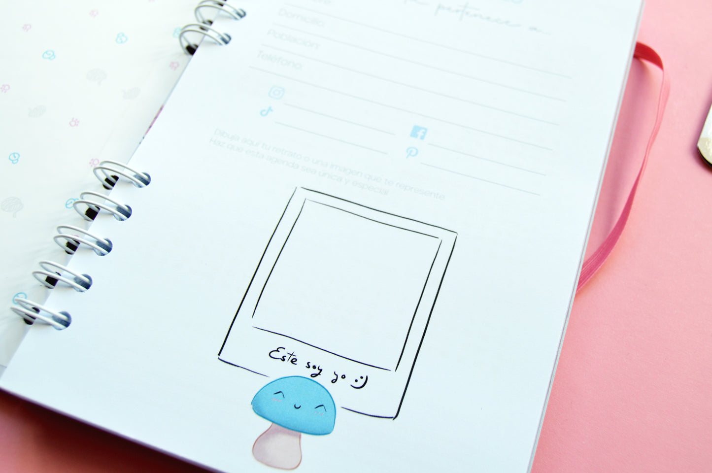 Agenda anual semanal 2026 - diseño margaritas con toques dorados