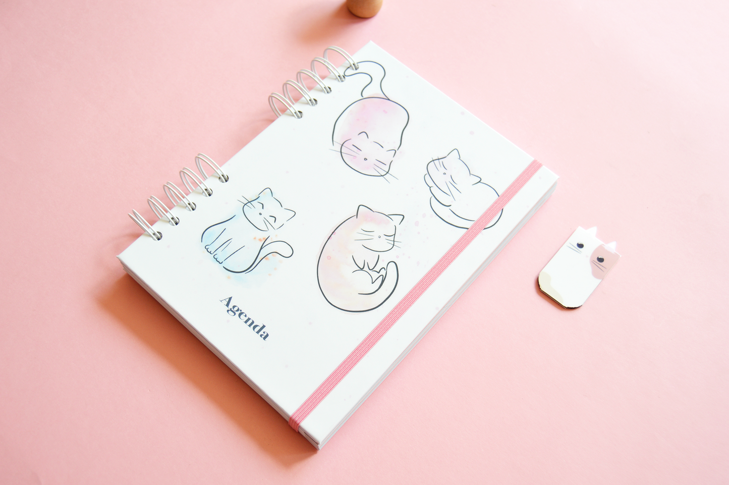 Agenda anual semanal 2026 - Diseño gatos en acuarela