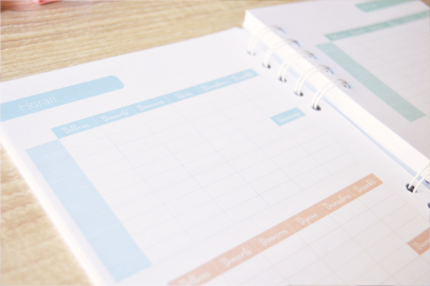 Agenda anual semanal 2026 - diseño margaritas con toques dorados