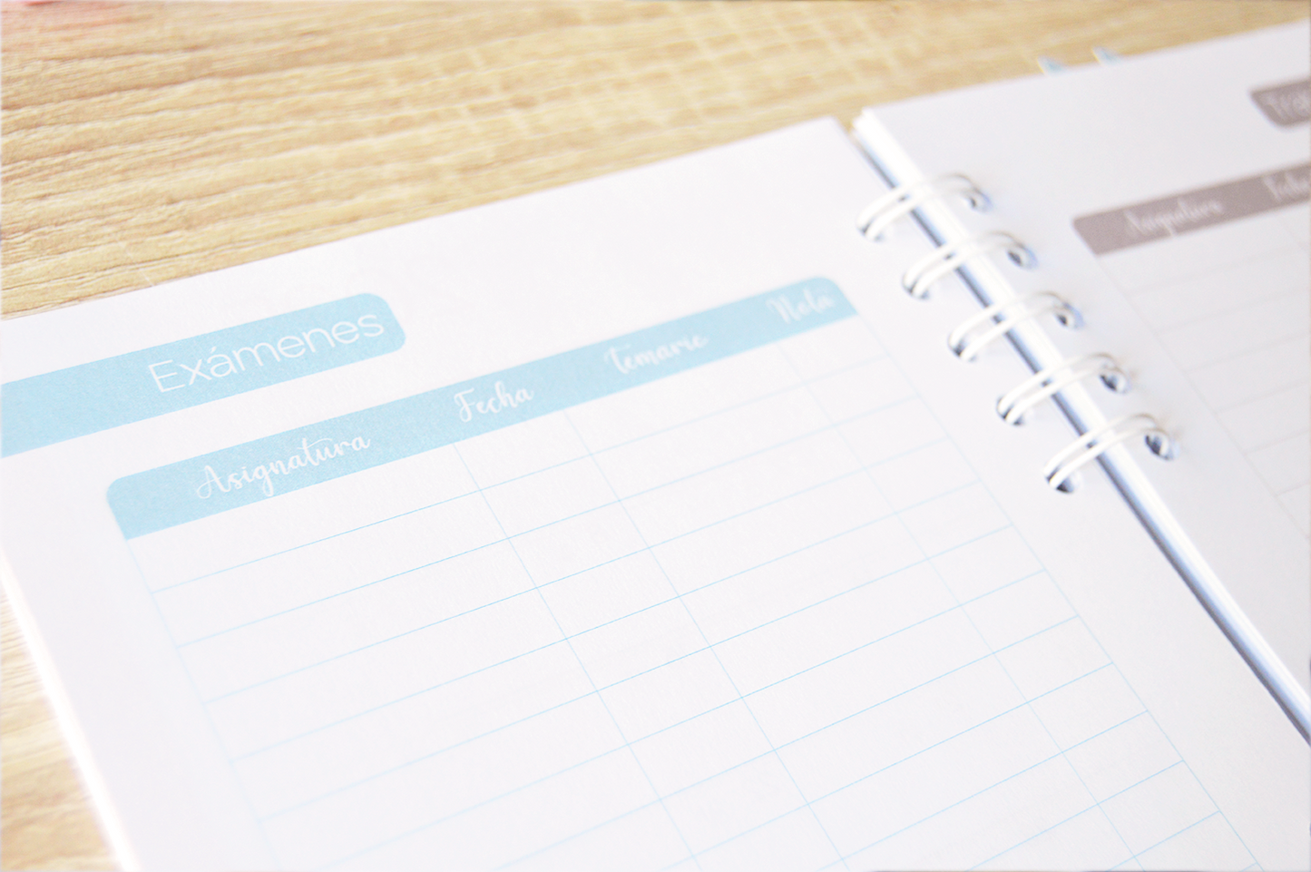 Agenda anual semanal 2026 - Diseño gatos en acuarela