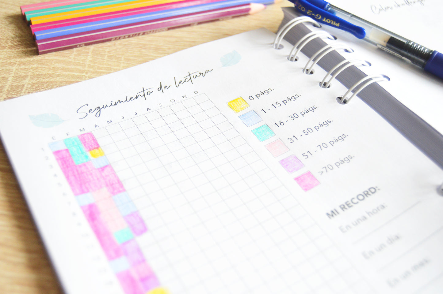 Diario de lecturas - Portada chica