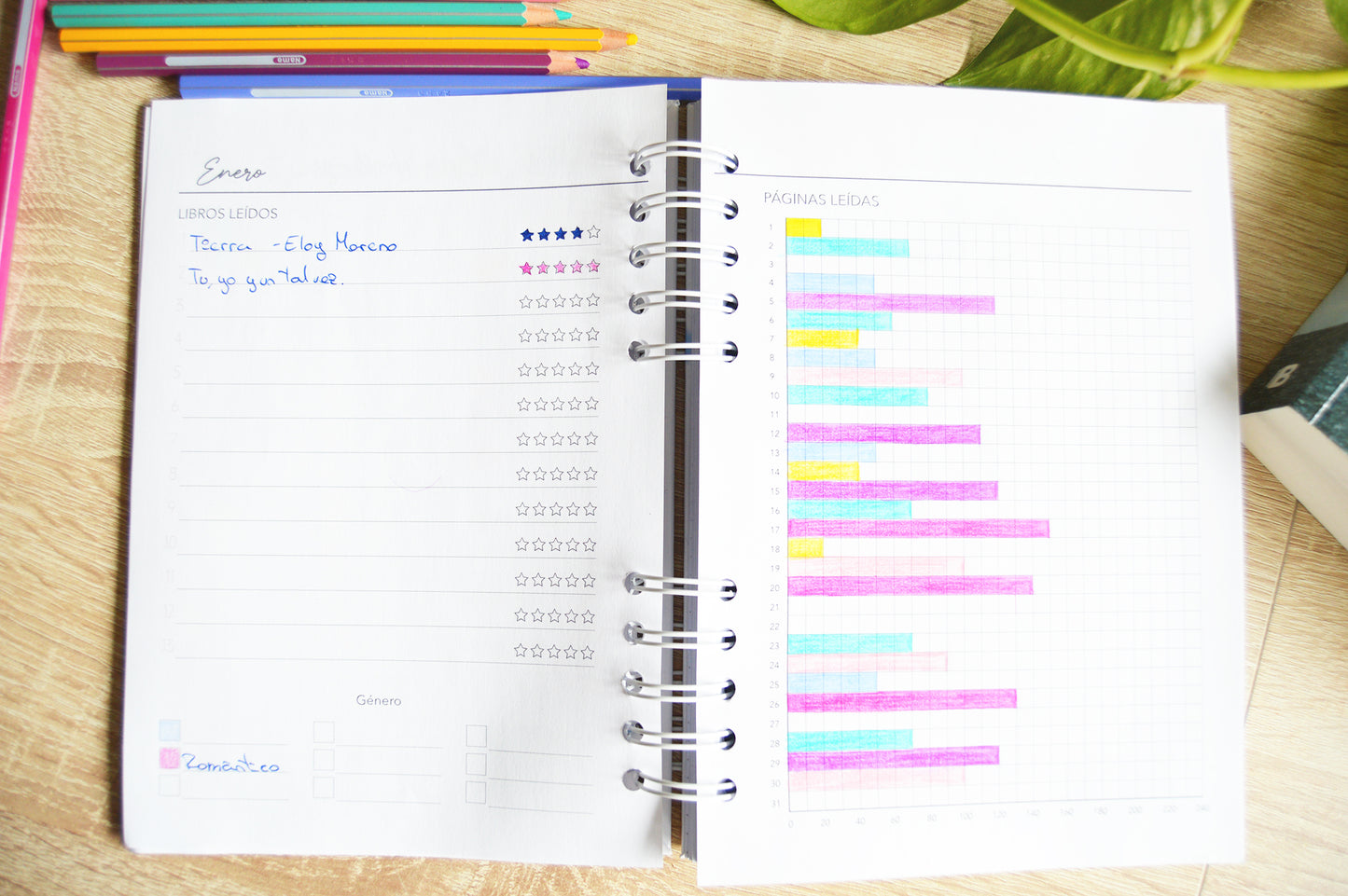 Diario de lecturas - Portada estantería