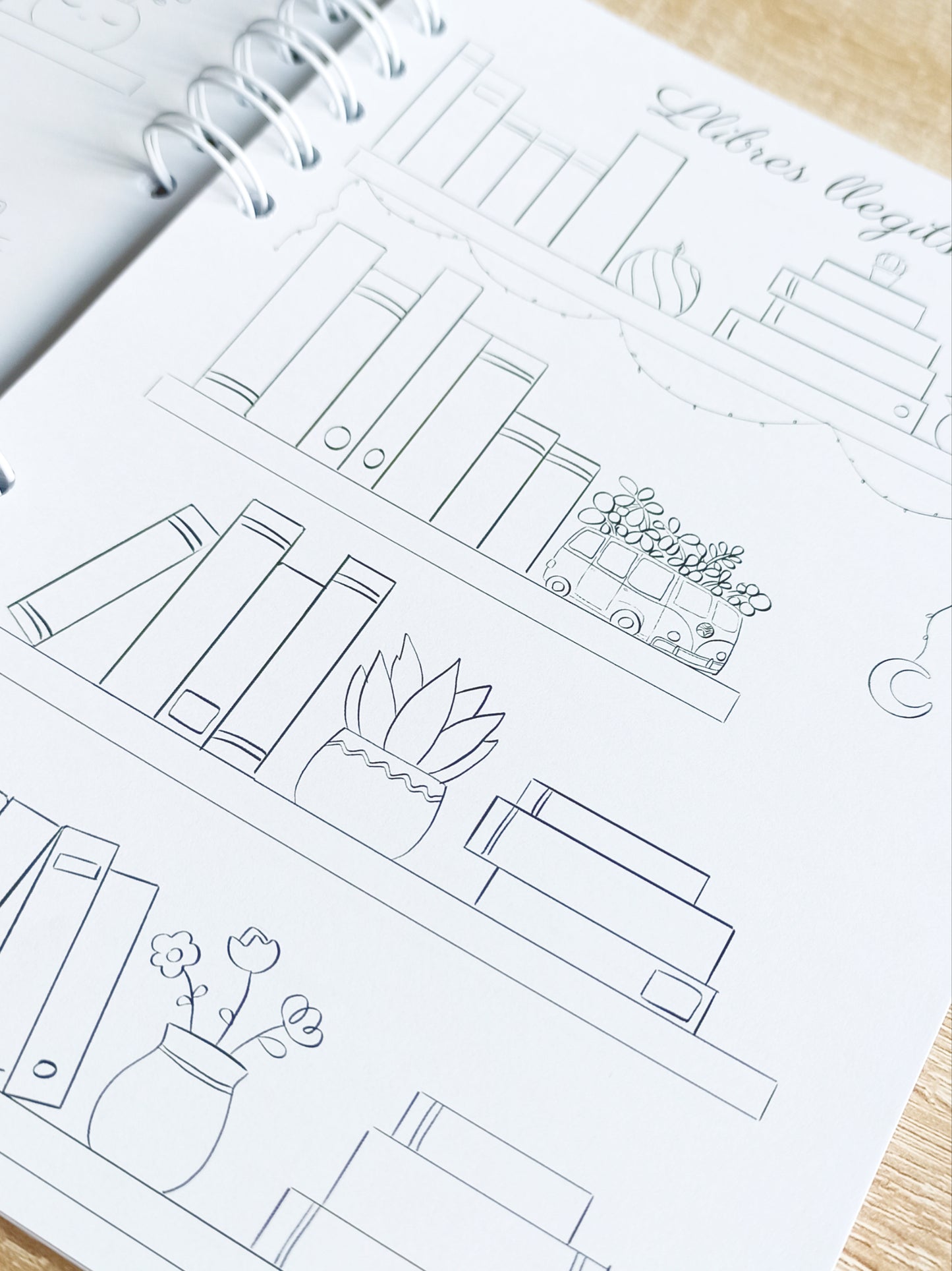 Diario de lecturas El Principito / El Petit Princep